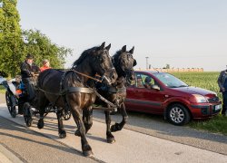 Kralovehradecka muzejni noc 2018 041