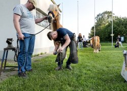 Kralovehradecka muzejni noc 2018 054