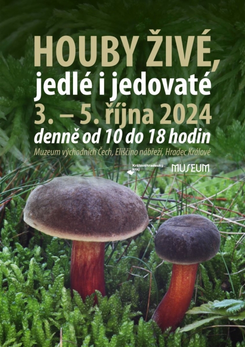 plakat houby 2024 zm