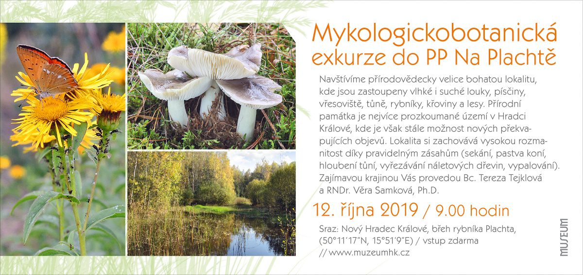 pozvanka mykologickobotanicka exkurse plachta podzim 2019