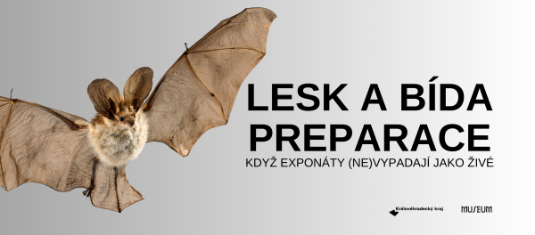 Lesk a bída preparace - komentovaná prohlídka výstavy