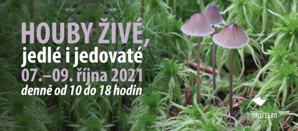 Houby živé, jedlé i jedovaté - výstava