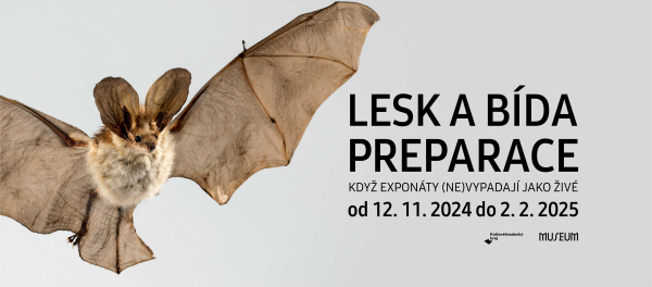 Lesk a bída preparace – výstava