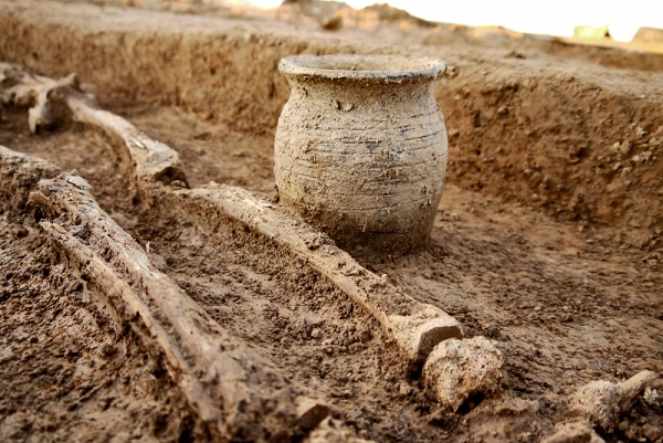 Archeologické služby